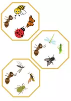 Vorschau - Mal- und Bastelvorlagen - Finde den Zwilling Insekten - DaZ/DaF, Deutsch (Grundschule) Kartenspiel - Seite 2