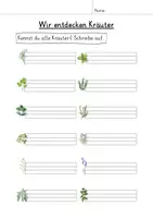 Vorschau - Arbeitsblätter - Kräuter - Arbeitsblatt für Schleichdiktat und Wortspeicher - Seite 3