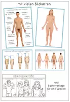 Vorschau - Unterrichtsreihen - Sexualerziehung / Sexuelle Bildung - die Pubertät - körperliche Veränderungen - Seite 2