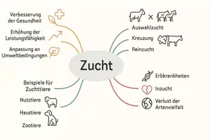 Vorschau - Arbeitsblätter - Arbeitsblätter zum Thema "Zucht" + Lösung & MP3 + Mindmap + Infografik - Seite 3