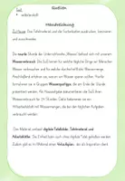 Vorschau - Stundenentwürfe - Wasser: 9.Stunde - Unser Wasserverbrauch - Seite 2