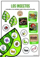 Vista previa - Tarjetas / Manipulativos - Los insectos en su hoja - Tesoros Brillantes - Portada