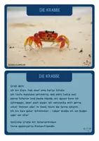 Vorschau - Bildkarten - 9 Rätselbriefe zum Raten - von den Meerestieren - Seite 2