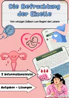 Vorschau - Arbeitsblätter - Die Befruchtung der Eizelle: Schwangerschaft & Zellteilung - Deckblatt