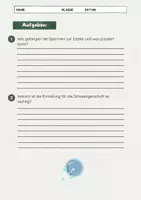 Vorschau - Arbeitsblätter - Die Befruchtung der Eizelle: Schwangerschaft & Zellteilung - Seite 3