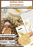 Vorschau - Arbeitsblätter - Aufbau eines Getreidekorn - Deckblatt