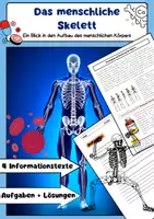 Vorschau - Arbeitsblätter - Das Skelett Bundle - Seite 1