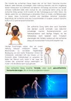 Vorschau - Arbeitsblätter - Evolution des Skeletts (aufrechter Gang) - Seite 2
