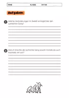 Vorschau - Arbeitsblätter - Evolution des Skeletts (aufrechter Gang) - Seite 3