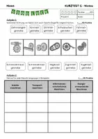 Vorschau - Test - Kurztest - Getriebe - Zahnräder - Maschinen und Mobilität - Seite 1