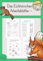 Vorschau - Arbeitsblätter - Eichhörnchen Arbeitsblätter - Deckblatt