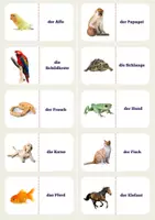 Vista previa - Juegos / Gamificación - Tierdomino. - página 1
