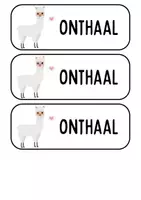 Voorbeeld - Dagritmekaartjes klasthema lama - Pagina 1