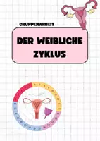 Vorschau - Stundenentwürfe - Gruppenarbeit zum weiblichen Zyklus – Verstehen, Erklären, Reflektieren - Seite 1