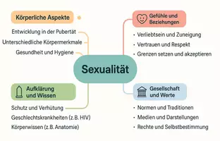 Vorschau - Arbeitsblätter - Arbeitsblätter zum Thema "Sexualität" + Lösung & MP3 + Mindmap + Infografik - Seite 2