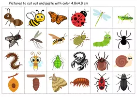 Vorschau - Mal- und Bastelvorlagen - Vokabelbilder Insects - Bildkarten Englisch - Seite 1