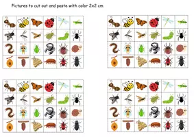 Vorschau - Mal- und Bastelvorlagen - Vokabelbilder Insects - Bildkarten Englisch - Seite 2