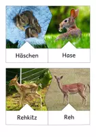 Vorschau - Spiele - Jungtiere im Frühling - Legepuzzles - Seite 3