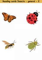 Vorschau - Spiele - Lesekarten/Bildkarten - Insects (Easy) - Englisch - Seite 2