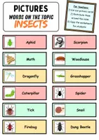 Vorschau - Unterrichtsreihen - Laufdiktat / Running dictation: Insects - Englisch - Seite 2