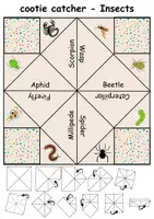 Vorschau - Spiele - Insects: Himmel und Hölle / Cootie Catcher - Englisch - Seite 2