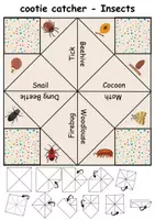 Vorschau - Spiele - Insects: Himmel und Hölle / Cootie Catcher - Englisch - Seite 3