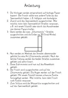 Vorschau - Mal- und Bastelvorlagen - Bastelvorlage - Wackelnder Frosch auf Seerose- Kunst im Frühling - Seite 1