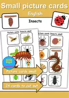 Vorschau - Mal- und Bastelvorlagen - Mini Picture-word cards: Insects - Englische Mini Bildkarten & Lesekarten - Deckblatt