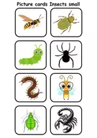 Vorschau - Mal- und Bastelvorlagen - Mini Picture-word cards: Insects - Englische Mini Bildkarten & Lesekarten - Seite 3