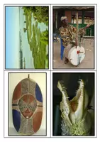 Aperçu - Affichage - Images vocabulaire la fin de l'énorme crocodile - Page de couverture
