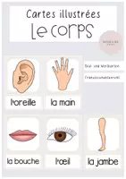 Vorschau - Poster - Le corps Bildkarten Körper - Deckblatt