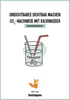 Vorschau - Arbeitsblätter - Protokoll CO2-Nachweis mit Kalkwasser - Deckblatt