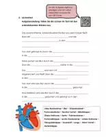Vorschau - Arbeitsblätter - Blutfluss durch das Herz ~ Arbeitsblatt mit Erwartungshorizont - Seite 2