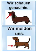 Vorschau - Anderer Materialtyp - Regeln Dackel - Seite 3