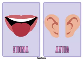 Προεπισκόπηση - Flashcards - ΤΑ ΜΕΡΗ ΤΟΥ ΣΩΜΑΤΟΣ(ΚΑΡΤΕΣ) - Σελίδα 3
