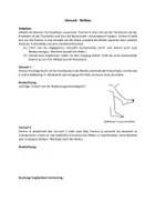 Vorschau - Stundenentwürfe - Reflexe - Kniesehnenreflex - Seite 3