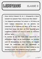 Vorschau - Arbeitsblätter - Materialpaket - Sommer - Lesepaket Klasse 3 - Seite 1