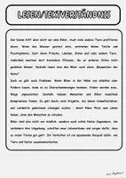 Vorschau - Arbeitsblätter - Materialpaket - Sommer - Lesepaket Klasse 3 - Seite 3