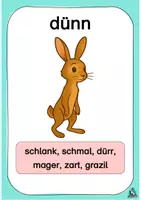 Vorschau - Poster - Adjektive: Aussehen – Wortfelder & Gegenteile - Seite 2