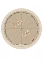 Vorschau - Poster - Tafelmaterial Kalender, Lautstärkeregler, Helferkind, Toilettenkarte, Gefühlskarten, rechts und links Poster - Deckblatt