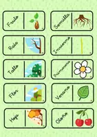 Vista previa - Unidades / Secuencias / Situaciones de Aprendizaje - PLANTAS 1º CICLO JUEGOS - página 3