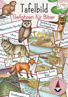 Vorschau - Präsentationen/Tafelbilder - Tafelbild: Gefahren für Biber: Natürliche Feinde & der Mensch - Deckblatt