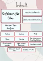 Vorschau - Präsentationen/Tafelbilder - Tafelbild: Gefahren für Biber: Natürliche Feinde & der Mensch - Seite 1