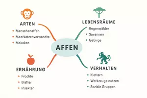 Vorschau - Arbeitsblätter - Arbeitsblatt zum Thema "Affen" + Onlineübung & MP3 + Mindmap + Infografik - Seite 3