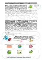 Vorschau - Arbeitsblätter - Cytologie - Was ist das? - Seite 3