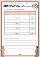 Vorschau - Arbeitsblätter - Grammatica - Het meervoud - Seite 3