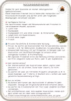 Vorschau - Arbeitsblätter - Materialpaket Frosch Metamorphose + Illustrationen - Seite 2