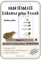 Vorschau - Arbeitsblätter - AB Zeichne weiter- Lebenszyklus Frosch Metamorphose - Deckblatt