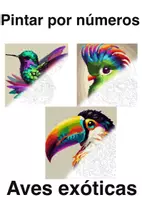 Vista previa - Manualidades / Dibujos para colorear - Pintar por números – Aves exóticas (25 plantillas) - Portada