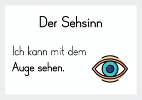 Vorschau - Bildkarten - Unsere Sinne - Tafelmaterial - Seite 1